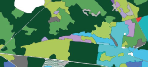 Carte des milieux forestiers décrits dans la BD Forêt® V3