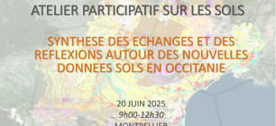 Synthèse des échanges de l'atélier participatif sur les sols du 20 juin 2025